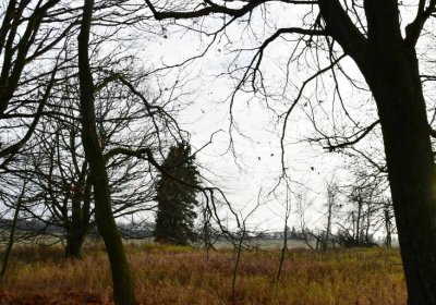 Rusová, Omnium, 2020