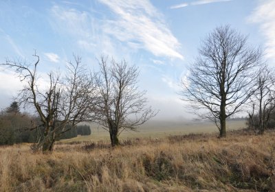 Rusová, Omnium, 2020