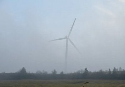 Rusová, Omnium, 2020