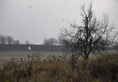 Rusová, Omnium, 2020