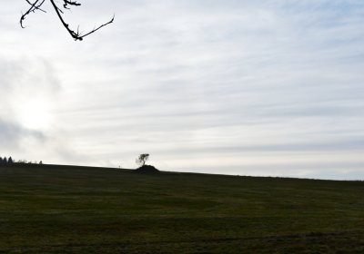 Rusová, Omnium, 2020