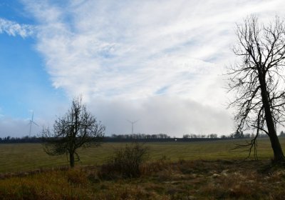 Rusová, Omnium, 2020