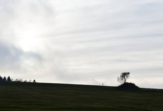 Rusová, Omnium, 2020