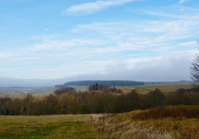 Rusová, Omnium, 2020