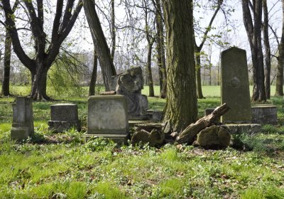 Sedláček Hugo, 2011