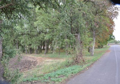 Radechov, Omnium, 2020