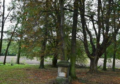 Radechov, Omnium, 2020