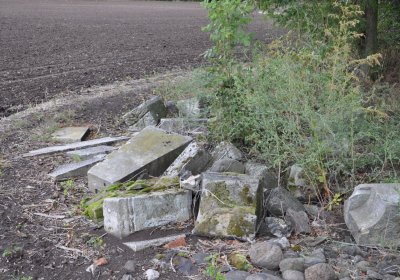 Radechov, Omnium, 2020