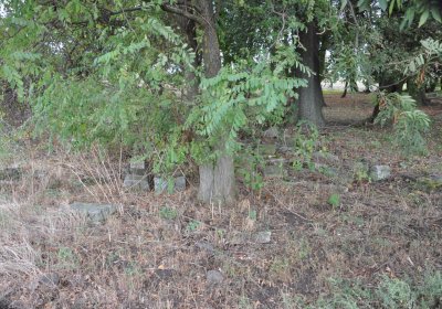 Radechov, Omnium, 2020