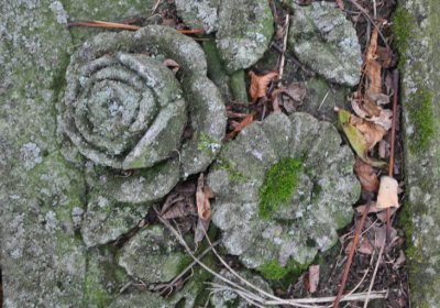 Radechov, Omnium, 2020