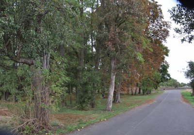 Radechov, Omnium, 2020