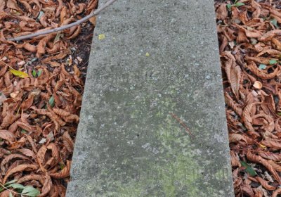 Radechov, Omnium, 2020