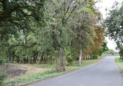 Radechov, Omnium, 2020