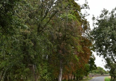 Radechov, Omnium, 2020