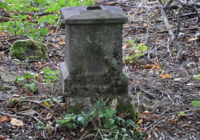 Radechov, Omnium, 2020