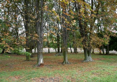 Radechov, Omnium, 2020