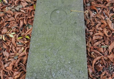 Radechov, Omnium, 2020