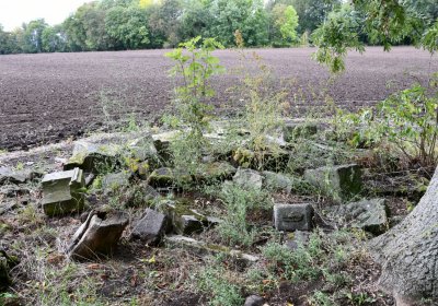 Radechov, Omnium, 2020