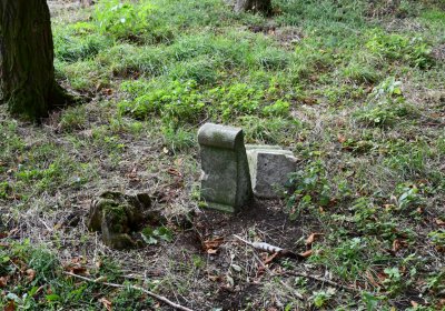 Radechov, Omnium, 2020