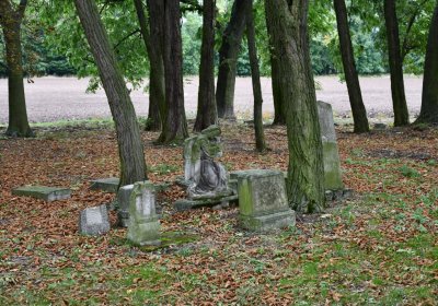 Radechov, Omnium, 2020