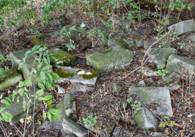 Radechov, Omnium, 2020