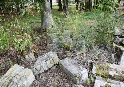 Radechov, Omnium, 2020