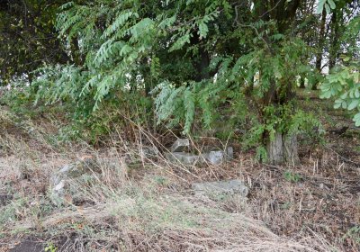 Radechov, Omnium, 2020