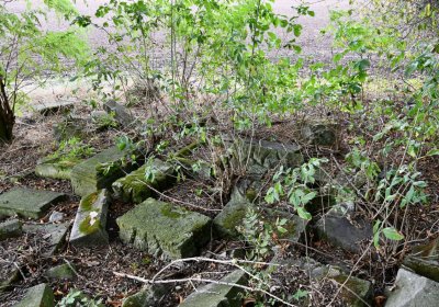 Radechov, Omnium, 2020