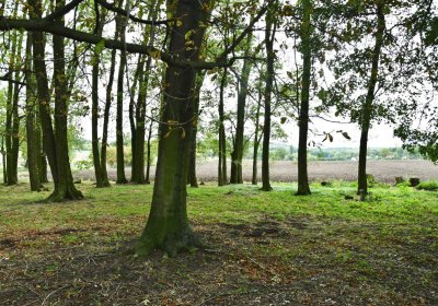 Radechov, Omnium, 2020