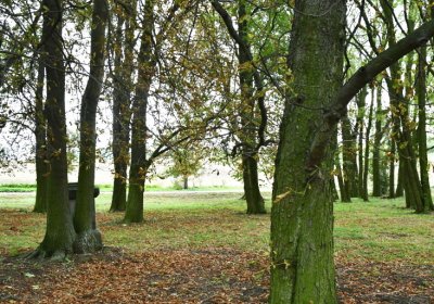 Radechov, Omnium, 2020