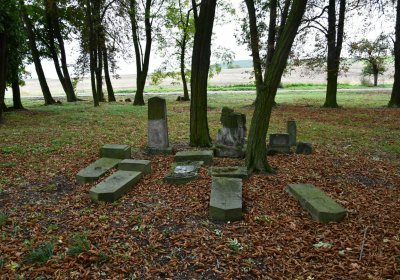 Radechov, Omnium, 2020