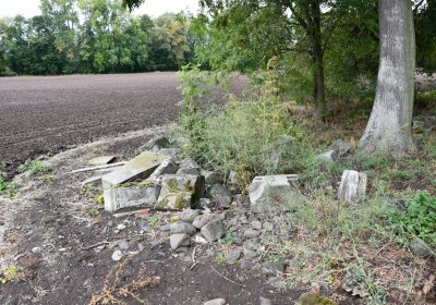 Radechov, Omnium, 2020