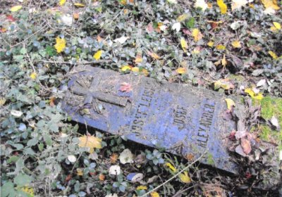 Sedláček Hugo, 2014