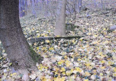 Sedláček Hugo, 2014