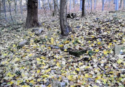 Sedláček Hugo, 2014