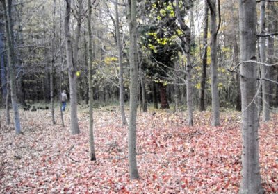 Sedláček Hugo, 2014