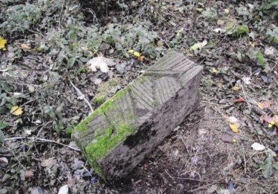 Sedláček Hugo, 2014