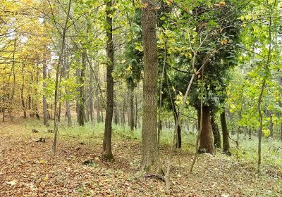 Sedláček Hugo, 2014