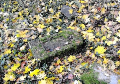 Sedláček Hugo, 2014