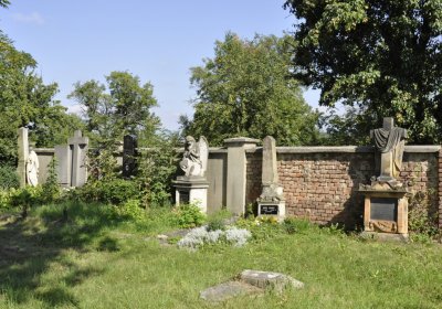 Sedláček Hugo, 2016