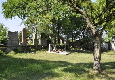 Sedláček Hugo, 2016