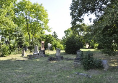 Sedláček Hugo, 2016