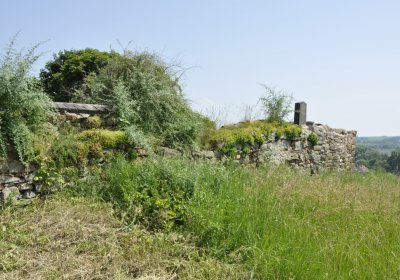 Sedláček Hugo, 2016