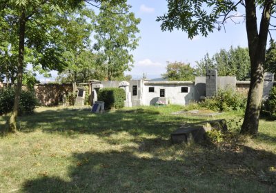 Sedláček Hugo, 2016