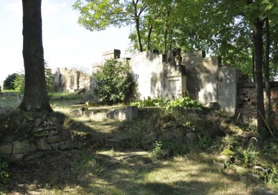 Sedláček Hugo, 2016