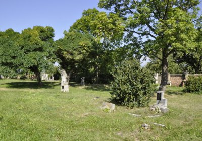 Sedláček Hugo, 2016