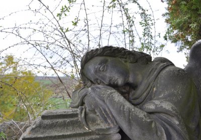 Přečaply, Omnium, 2020