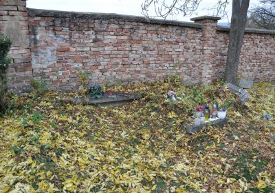 Přečaply, Omnium, 2020