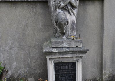 Přečaply, Omnium, 2020