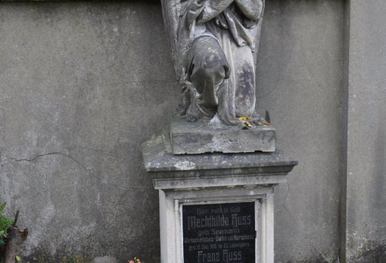 Přečaply, Omnium, 2020